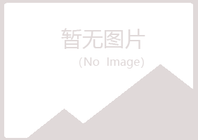 白银平川忆伤金属有限公司